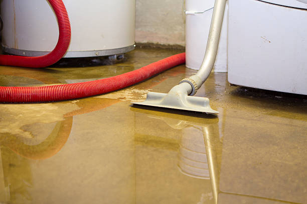 Best Flood damage cleanup  in Jonestown, TX